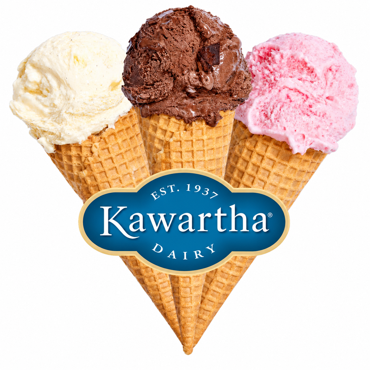 Kawartha Dairy Ice Cream at Balderson Village Cheese