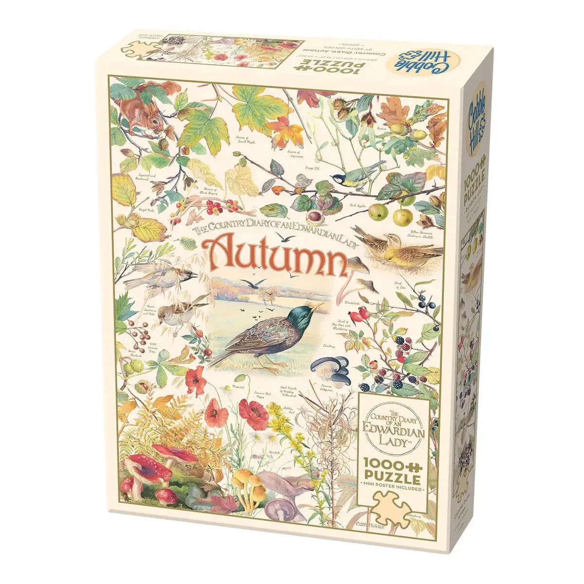 Country Diary: Autumn Puzzle