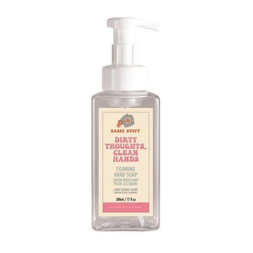 Dirty Thoughts, Clean Hands Soap-Bar Soap-Balderson Village Cheese Store