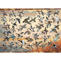 Ducks of North America Puzzle-Jigsaw Puzzles-Balderson Village Cheese Store