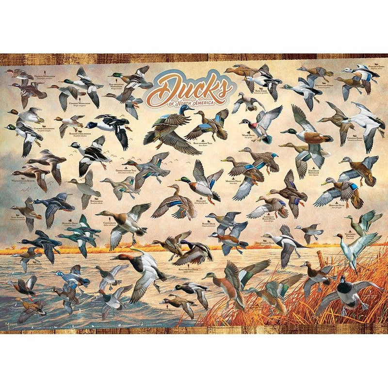 Ducks of North America Puzzle-Jigsaw Puzzles-Balderson Village Cheese Store