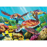 Molokini Current Puzzle II