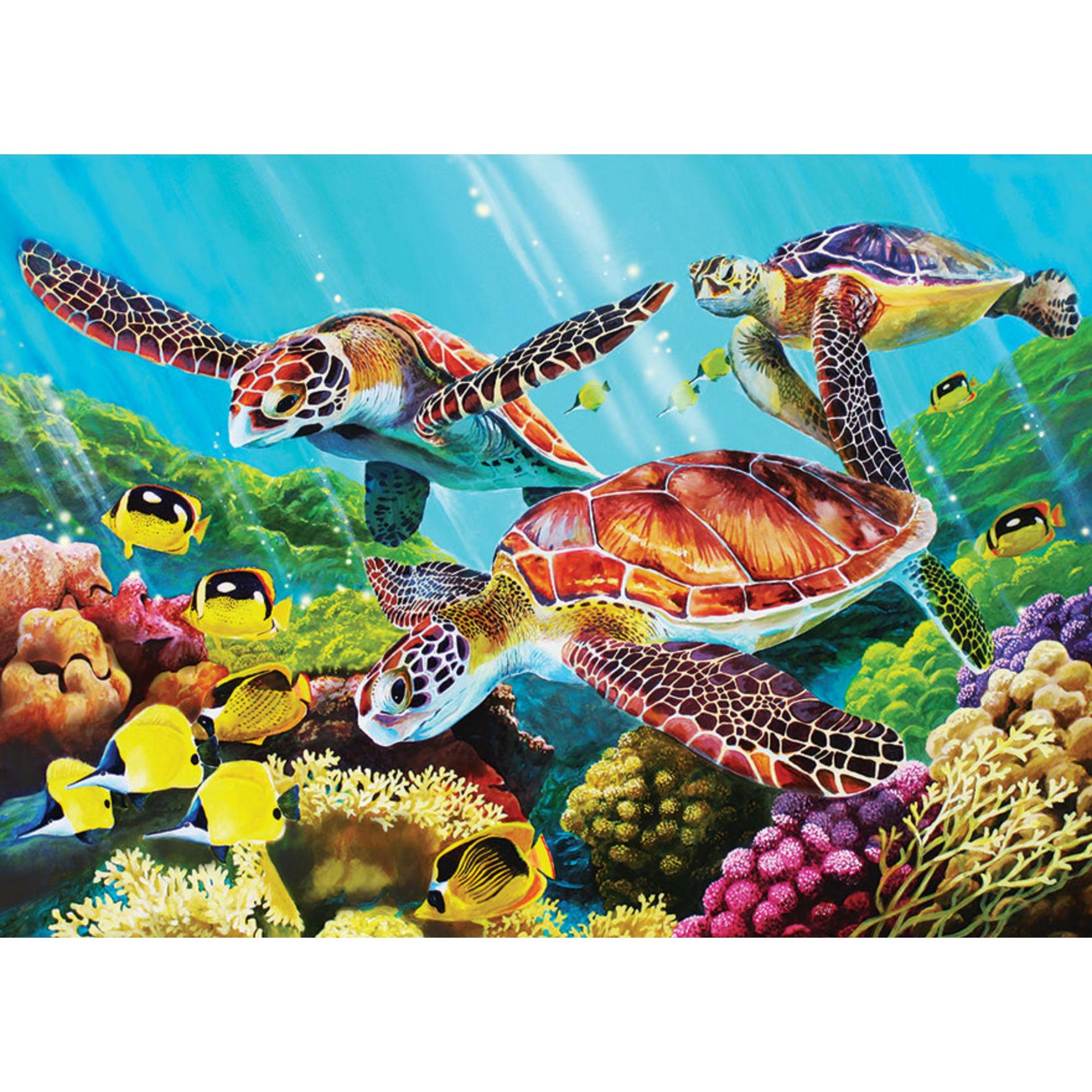 Molokini Current Puzzle II