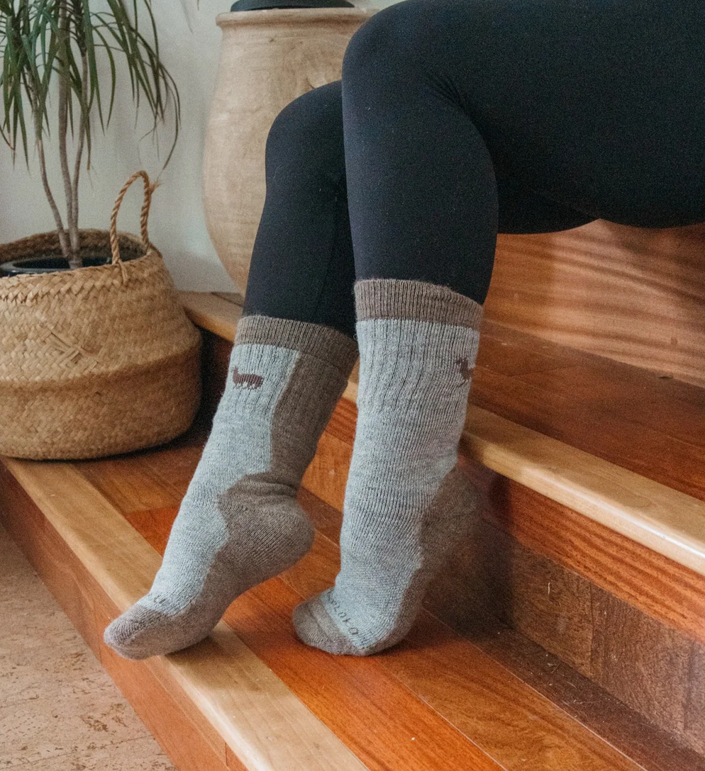 Alpaca Hiker Socks - Greige - X-Large