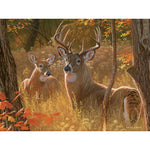 Secret Rendezvous Puzzle-Jigsaw Puzzles-Balderson Village Cheese Store