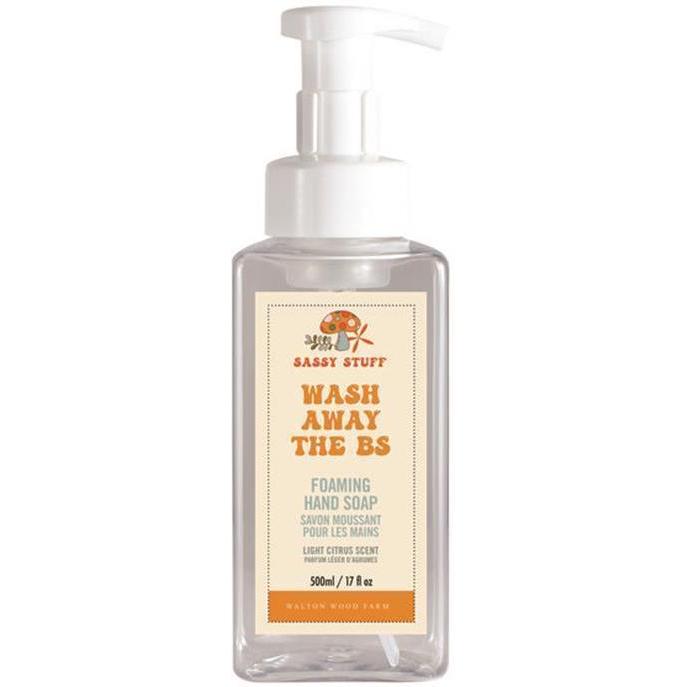 Wash Away the BS Foaming Hand Soap-Hand Soap-Balderson Village Cheese Store