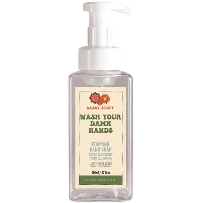 Wash Your Damn Hands Foaming Hand Soap-Bar Soap-Balderson Village Cheese Store