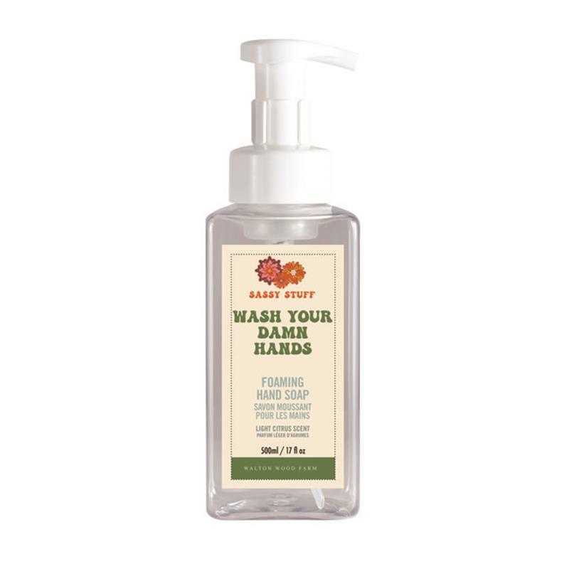 Wash Your Damn Hands Foaming Hand Soap-Bar Soap-Balderson Village Cheese Store