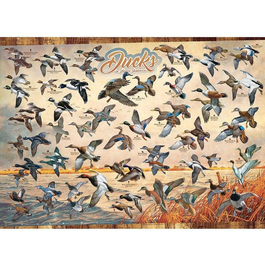Ducks of North America Puzzle II-Jigsaw Puzzles-Balderson Village Cheese Store
