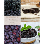 1896 Candle Co. - Blackberry and Vanilla-Candles-Balderson Village Cheese Store