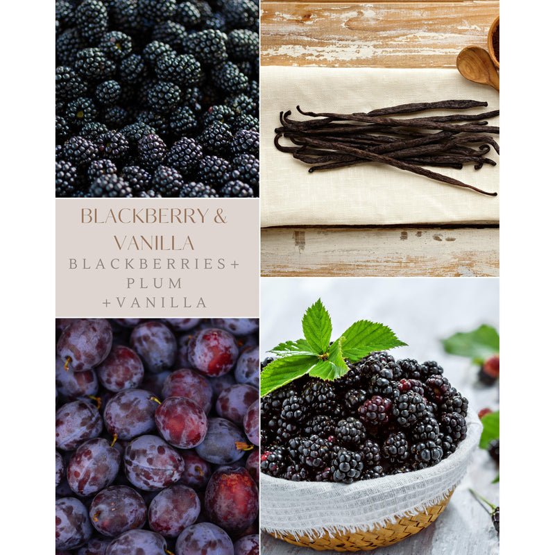 1896 Candle Co. - Blackberry and Vanilla-Candles-Balderson Village Cheese Store