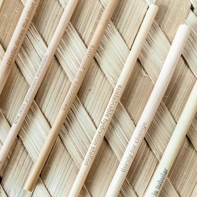 Bamboo Straws - Box of 6 with Brush-Washer & Dryer Accessories-Balderson Village Cheese Store