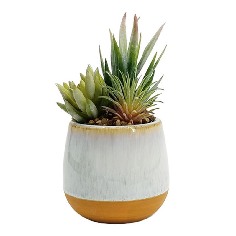 Ceramic Planter w/Succulent-Planter-Balderson Village Cheese Store