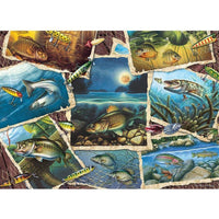 Fish Pics Puzzle-Jigsaw Puzzles-Balderson Village Cheese Store