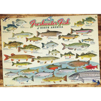 Freshwater Fish of North America Puzzle-Jigsaw Puzzles-Balderson Village Cheese Store