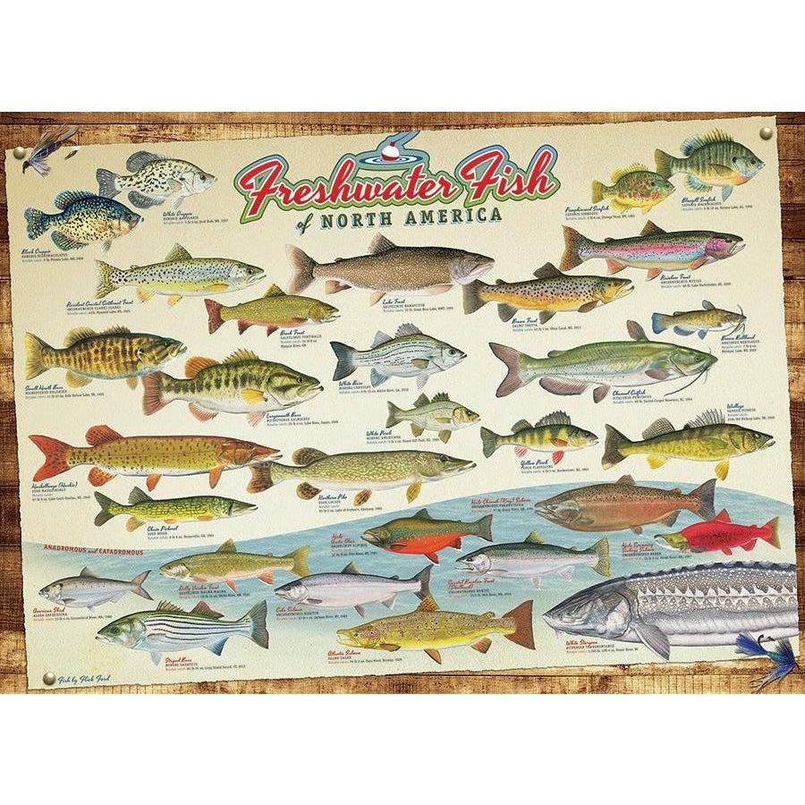 Freshwater Fish of North America Puzzle-Jigsaw Puzzles-Balderson Village Cheese Store