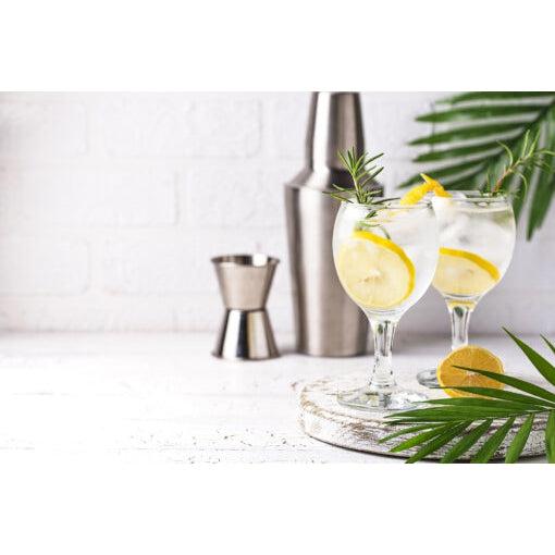 Lemon Gin Spritz-Drink Mix-Balderson Village Cheese Store