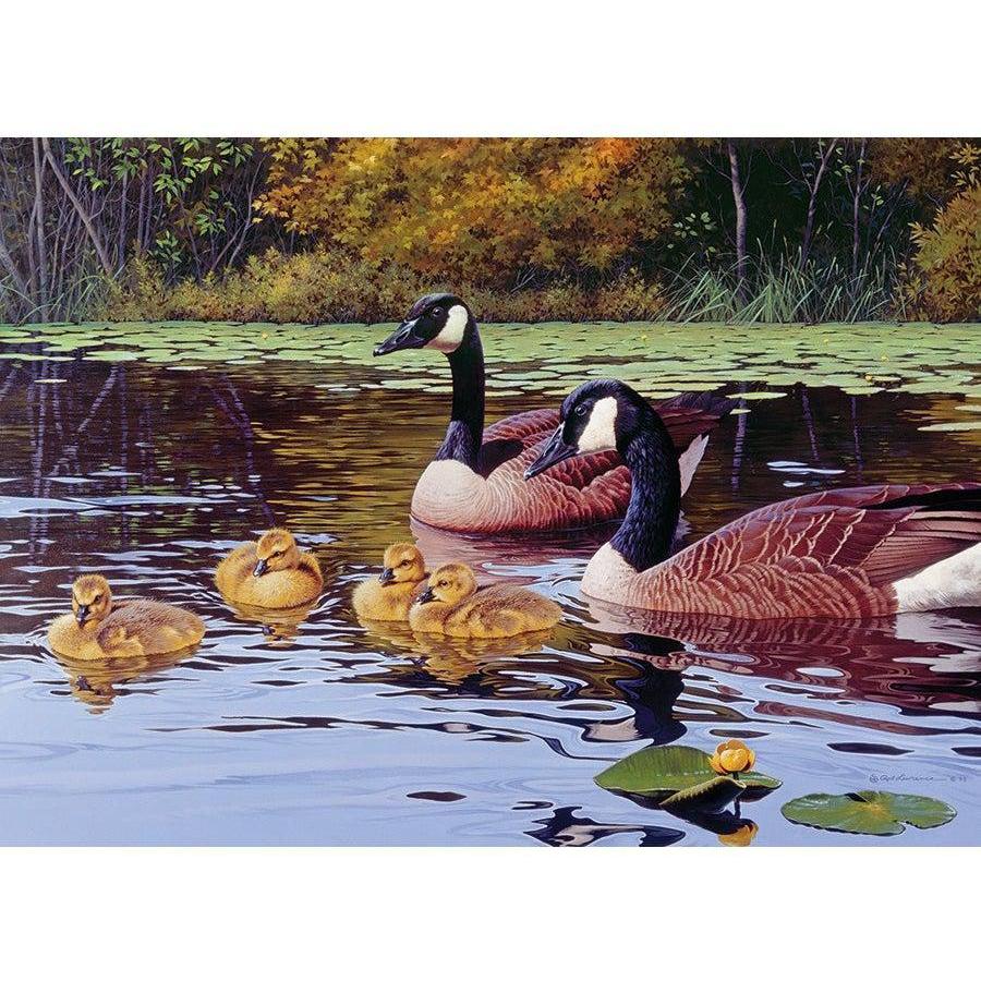 Platts Pond Puzzle-Jigsaw Puzzles-Balderson Village Cheese Store