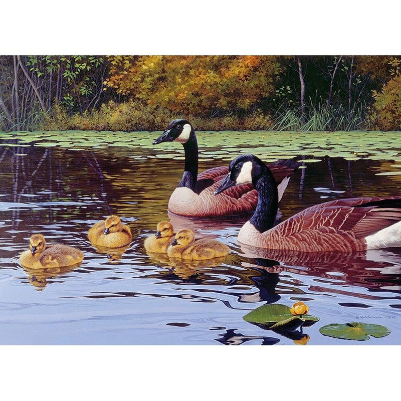 Platts Pond Puzzle-Jigsaw Puzzles-Balderson Village Cheese Store